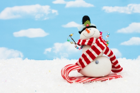 Cute Snowman - snowman, winter, splendor, snow, christmas, winter time, magic christmas, cute, xmas, merry christmas