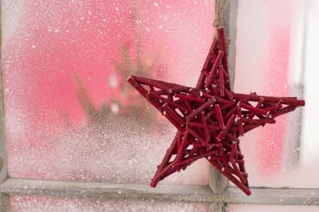 Christmas Star - star, winter, window, snow, christmas, frozen, christmas tree, magic christmas, xmas, merry christmas, christmas star