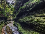 gorge in turkey run state park in indiana