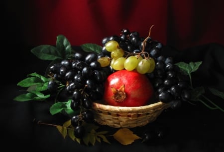 *** Still life *** - grapes, fresh, plate, fruits