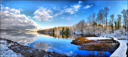 *** River on winter time *** - river, trees, winter, frosted, nature