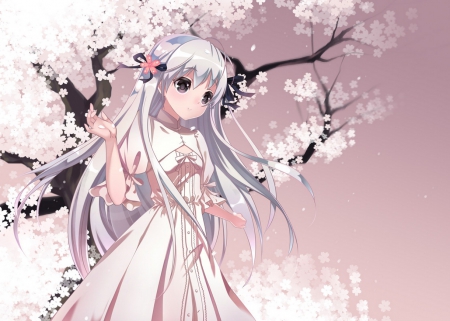 maiden - pretty, sakura, dress, girl, cute, tree