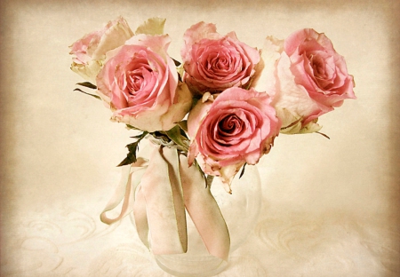 Roses - nature, flowers, roses, soft