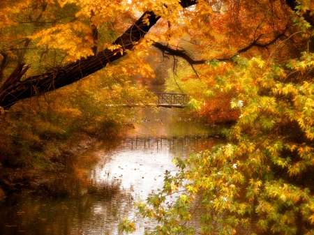 Nature - nature, lake, autumn, trees