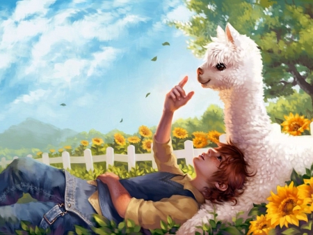 Boy and the Llama - boy, white, sunflower, fied, llama, beautiful, butterflies, playing