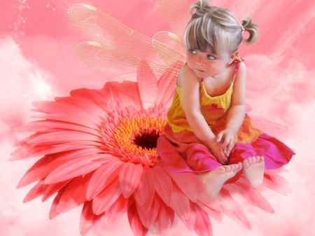 Little flower fairy - girl, cute, daisy, fairy, little, flower, pink