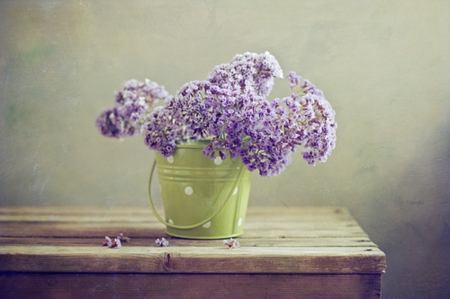 Still life - flowers, vase, purple, green, splendor, beauty, liliac, still life