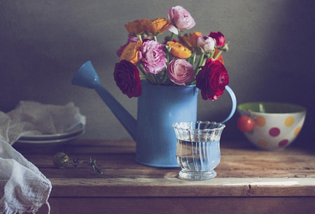 Still âœ¿ - colored, folwers, still life, roses