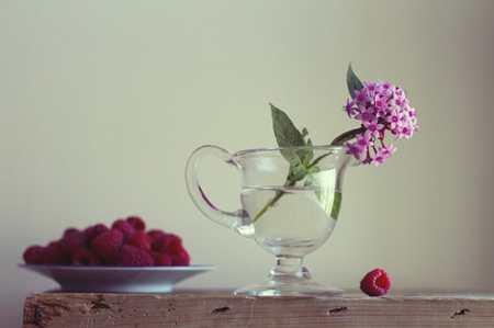 Raspberries and Flowers - vase, food, beauty, lovely, raspberries, flowers, style, fruit, situation