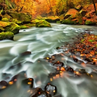 Mountain stream