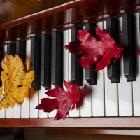 Autumn leaves on piano keys