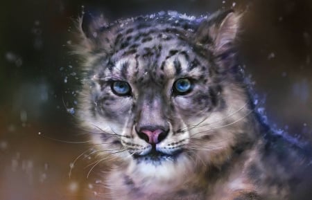 Blue eyed leopard - leopard, beautiful, beauty, blye eyed, wild cat, wild, cat