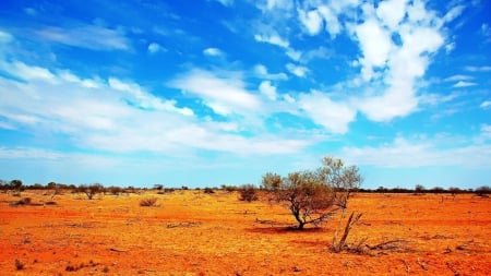 sky - sand, sky, tree, mountain