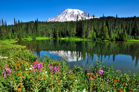 Reflection lake - pretty, calm, quiet, summer, landscape, grass, reflection, crystal, mountain, flowers, shore, peak, lake, nice, sky, greenery, trees, water, beautiful, snowy, mirrored, lovely, nature, clear, serenity