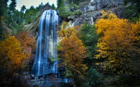 Fall Silver Falls - trees, water, splendor, forest, fall, river, nature, waterfall, autumn, autumn splendor, autumn leaves, woods