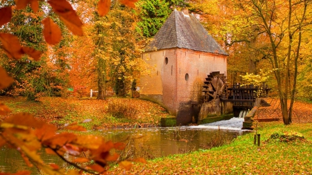 Forest Watermill - leaves, watermill, autumn, forest