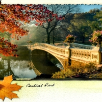 Central Park Bridge 1
