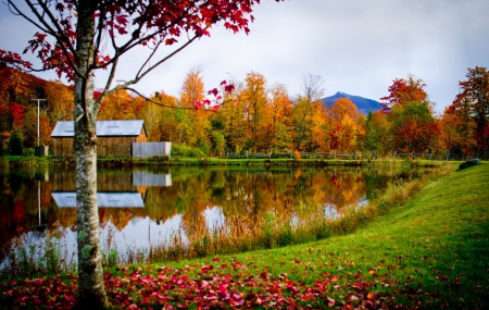 Vermont fall - calm, quiet, grass, reflection, leaves, shore, barn, lake, place, hut, farm, cottage, sky, clouds, falling, house, branches, trees, pond, Vermont, colors, fall, colorful, nature, season, serenity, foliage