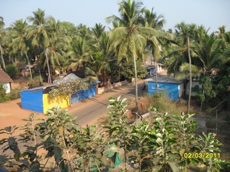 Calangute Beach Forest Road in India - india, calangute, palms, goa, exotic