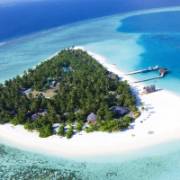 Island Bliss