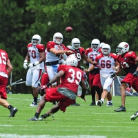 Arizona Cardinals Training