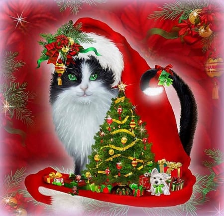 â˜…Cat in Santa Hatâ˜… - greetings, animals, creative pre-made, balls, decorations, ornaments, xmas and new year, celebrations, cat, christmas trees, lovely, christmas, love four seasons, bow, weird things people wear, winter holidays, beautiful, giftboxes, santa hat