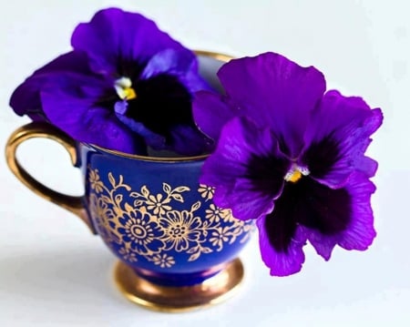 Purple Pansies - still life, purple, cup, pansies