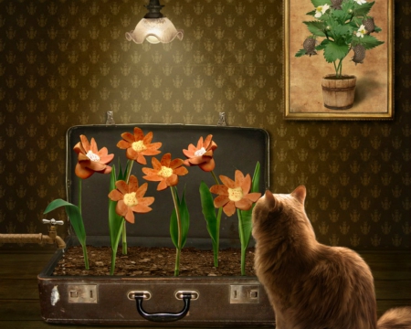 Watching - animals, cute, case, flowers, cat