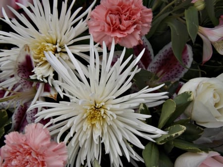 awesome bouquets - flowers, white, florals, petals, bouquet, pink