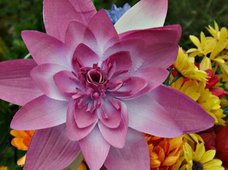 beautiful mixture - pink, petals, bouquet, flowers, florals