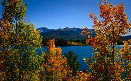 View of blue lake - fall, clear, water, n ice, beautiful, leaves, branches, shore, blue, lake, sky, view, lovely, trees, nature, autumn