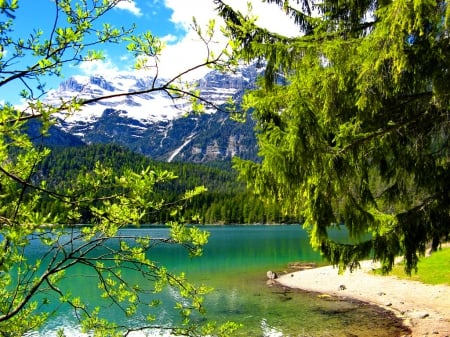 Mountain lake - peak, cliffs, beautiful, emerald, quiet, view, nature, mountain, greenery, hills, branches, serenity, shore, lake, nice, clouds, lovely, trees, calm, green