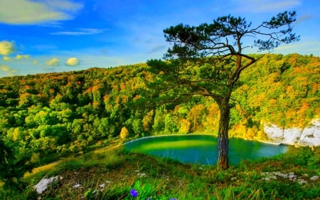 BAVARIAN LAKE - nature, trees, bavaria, landscape, germany