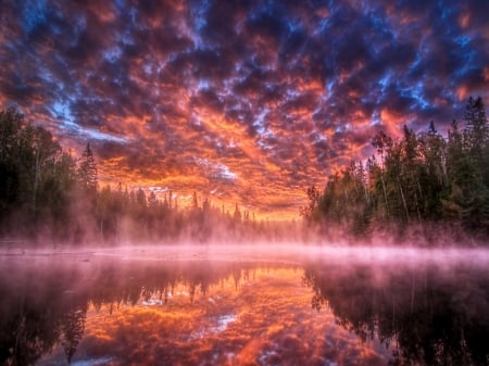 Reflections in the mist - reflections, sky, lake, trees, clouds, mist