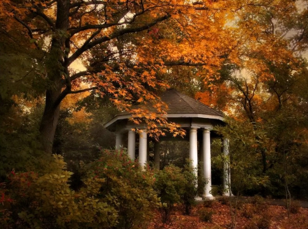 Autumn gazebo - calm, quiet, trees, branches, fleaves, forest, rest, fall, nature, season, autumn, gazebo, serenity