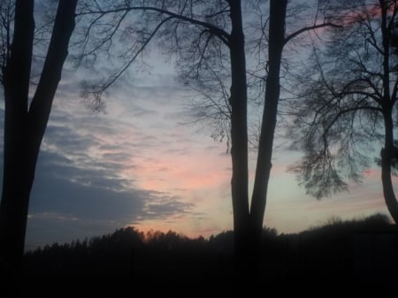 ... - sky, trees, clouds, pink