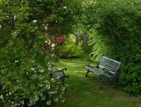 green park - flowers, nature, green, bench, park