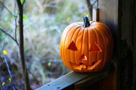 Jack O Lantern - jack o lantern, photography, window, candle, halloween, pumpkin, lantern