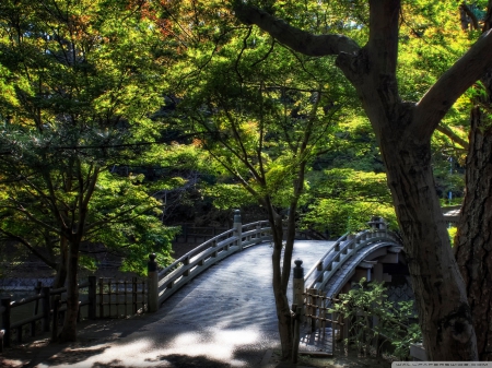 Taikobashi Bridge - japanese bridge, scenic bridge, tokyo bridge, taikobashi bridge