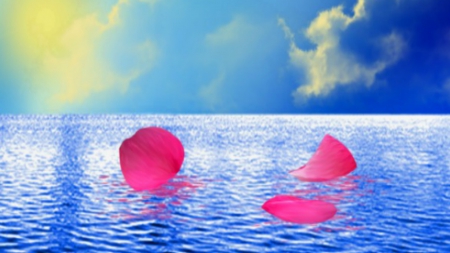 ~*~ Rose Petals ~*~ - rose petals, sun raise, blue, river