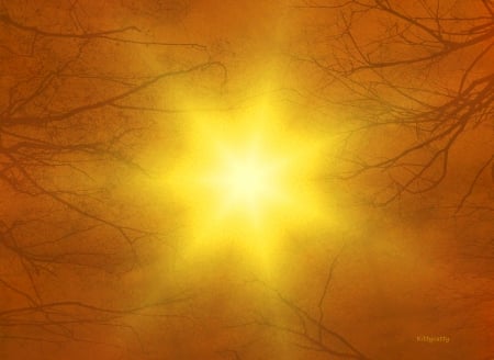 â™¥ Bright Star â™¥ - fall, sun, fantasy, bright, sadness, peace, light, star, trees, autumn