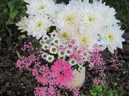 PinkNWhite - Flowers, Blooms, Bouquet, Flora, Floral