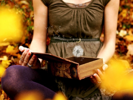 Dandelion - girl, auttumn leaves, book, dandelion