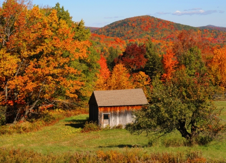 Fall in Vermont - season, nice, hut, cottage, sky, autumn, trees, peaceful, colorful, foliage, fall, quiet, house, grass, hills, lovely, nature, beautiful, leaves, vermont, colors