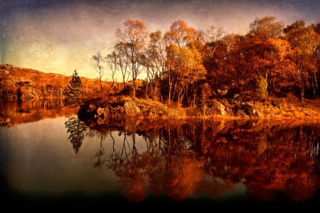 October - nice, autumn, colorful, mirrored, shine, foliage, fall, pretty, reflection, tree, golden, branches, falling, lovely, nature, glow, october, beautiful, leaves, colors