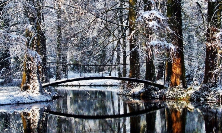 River Bridge - trees, winter, nature, snow, reflection