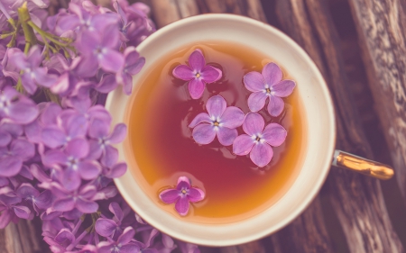 *** Fantastic cup of tea *** - of, purple, tea, flowers, lovely, mug, fantastic, cup