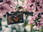 *** Old camera ***