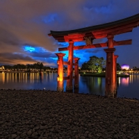 Torii Gate