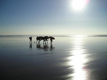 Untitled Wallpaper - sauton, beach, devon, sea, surfers, february sun 2008